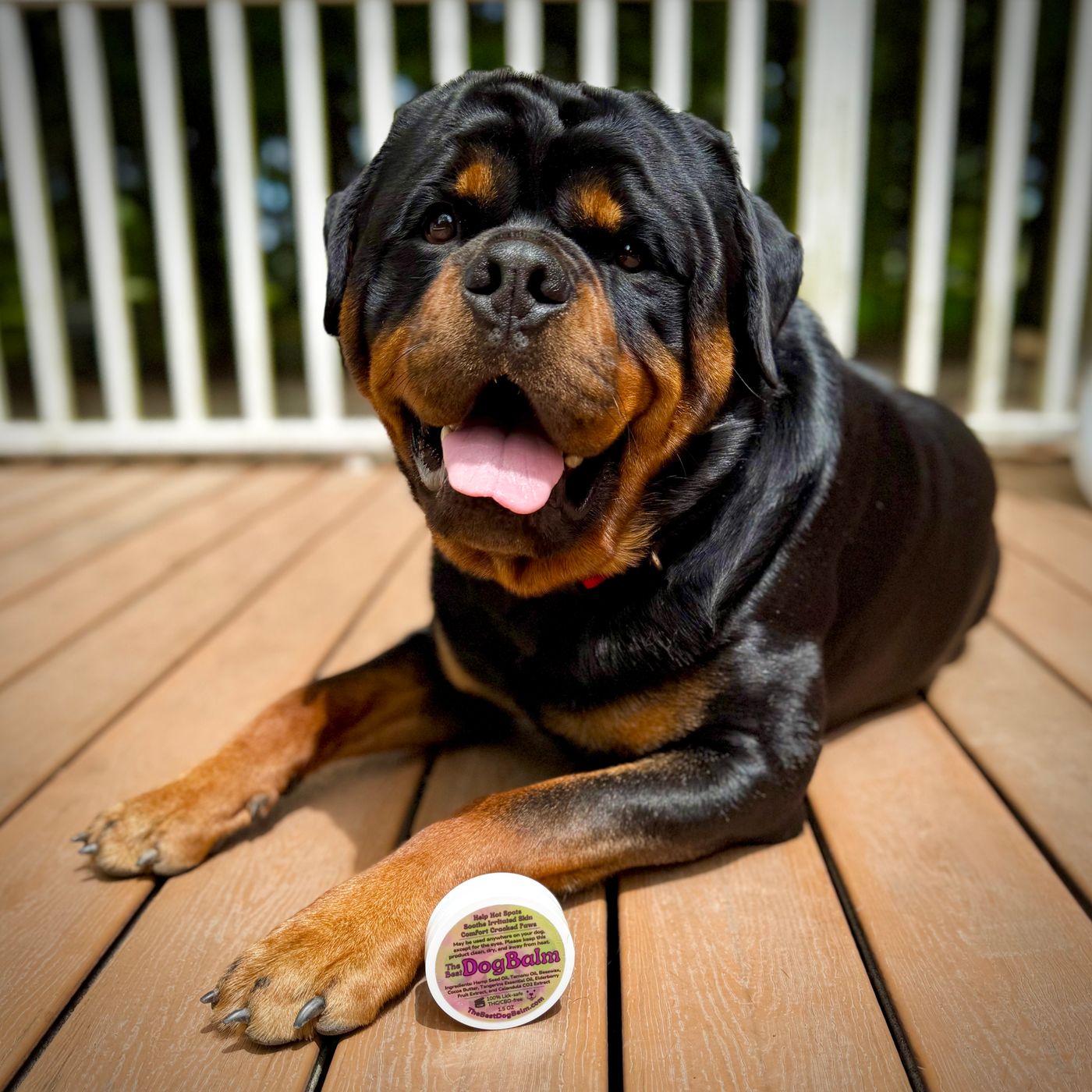 The Best Dog Balm jar