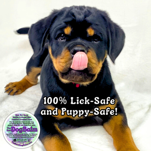 The Best Dog Balm