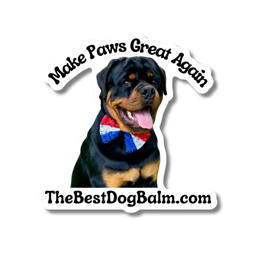 Make Paws Great Again Sticker