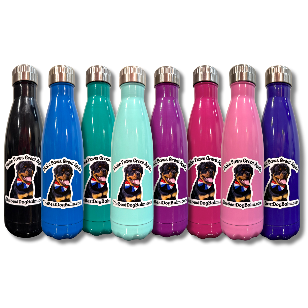 Insulated Water Bottle