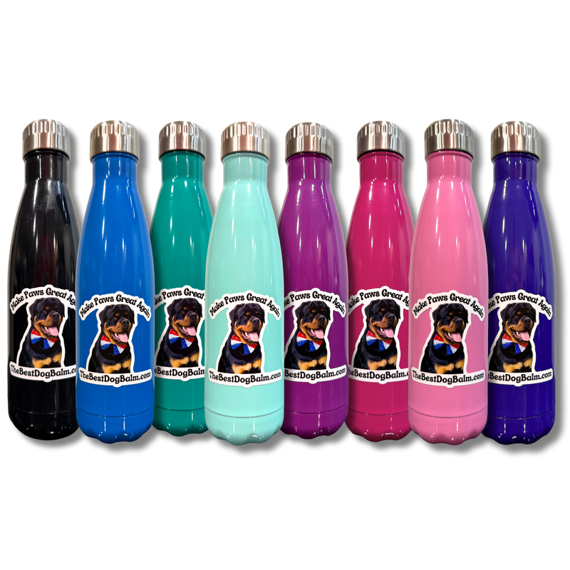Insulated Water Bottle