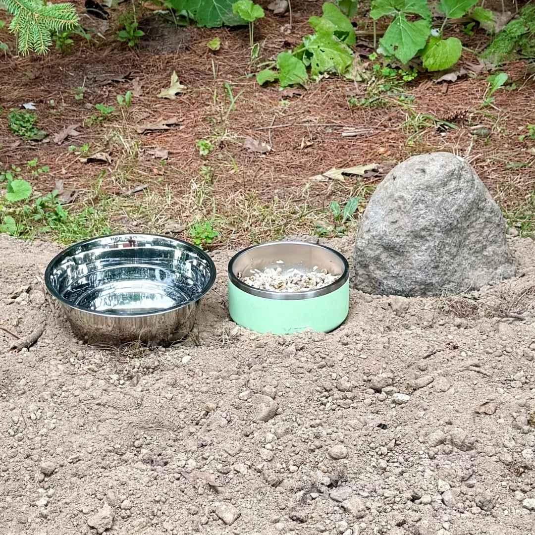 A metal water bowl and a green food bowl set beside a stone grave marker