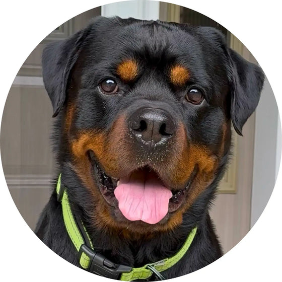 Zeus smiling